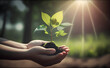 Eco earth day concept. hand holding young plant in sunshine and green nature background - AI Generative	