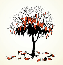 Vector Drawing. Withered Tree With Fallen Leaves