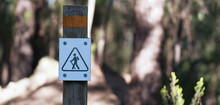Sign Of The Tourist Trail In The Forest. Wooden Sign Shows Tourists The Directions Of The Trail. Marking The Tourist Route
