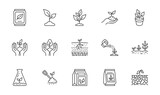 Plant growing line icons set. Spring growth stage, seeds, seedling, drought, soil testing, agriculture vector illustration. Outline signs for gardening. Editable Stroke