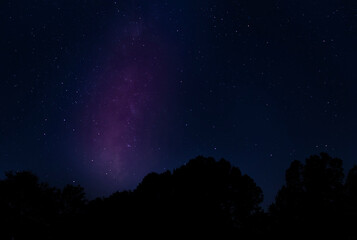 Wall Mural - trees silhouetted by the stars and milky way