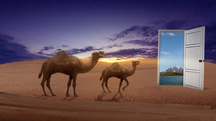 Sticker - Camel crossing the desert with mosque