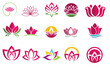 Set of lotus blossom - lotus flowers.
