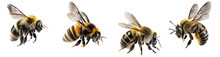 Generative AI Illustration Side View Of Small Striped Bees With Transparent Wings Isolated On White Background