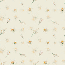 Watercolor Seamless Pattern. Hand Painted Illustrations Of Beige Flowers In Blossom With Five Petals, Buds. Tropical Citrus Flowers. Floral Pattern. Print On Beige Background For Textile, Packaging