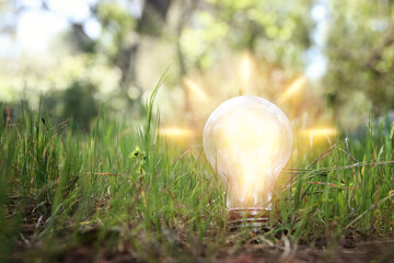 Wall Mural - energy and business concept image. Creative idea and innovation. light bulb metaphor in front of the sun