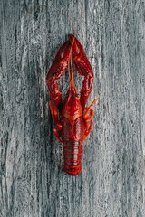 Wall Mural - cooked crayfish on a gray table