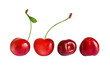 © helen_tereshina - Bright cherries set isolated on transparent background. Fresh ripe summer berries on thin sprigs. Elements collection for juice, jam, sauce packaging layout design, refreshing sweet drinks advertising