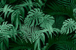 Dark green tropical pattern with palm leaves. Summer vector background or textile illustration.