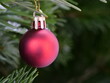 Eine rote Baumkugel hängt an einem Ast eines Tannenbaumes und schmückt diesen weihnachtlich