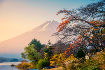 Wall Mural - Sunrise over Mount Fuji and fall garden in Lake Kawaguchiko on autumn  at Japan