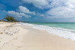 Möwen am Strand, Freeport, Grand Bahama, Bahamas, Karibik, Atlantik, Mittelamerika