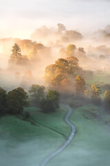 rural road leading into beautiful misty landscape with autumn colours on trees. loughrigg tarn, lake