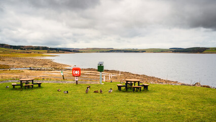 Wall Mural - picnic area at derwent reservoir. the river derwent formed in the north pennines flows through its r