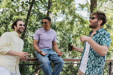 Wall Mural - carefree interracial friends in sunglasses holding bottles of beer and talking in summer park.