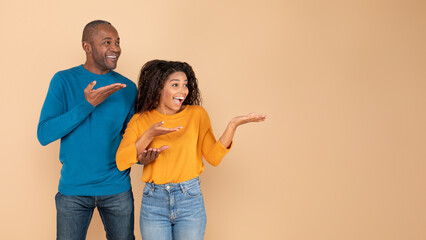 Overjoyed black couple pointing at free space, happy mature man and young woman demonstrating place for text, panorama