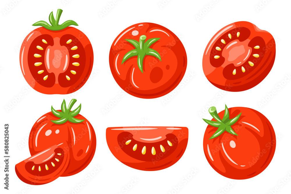 Red tomatoes collection isolated on white background. Vector ...