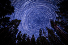 Long Exposure Star Trails In Night Sky Over Trees