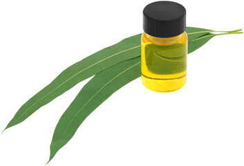 Sticker - Eucalyptus Oil with leaves