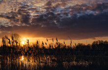 Sunrise