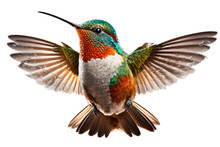Hummingbird, Png Stock Photo File Cut Out And Isolated On A Transparent Background - Generative AI