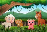 Fototapeta Pokój dzieciecy - Cartoon farm animals in the jungle