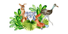 Composition Of Cartoon Animals Watercolor Illustration Isolated On White. Cute Australian Koala, Emu, Platypus, Kangaroo Hand Drawn. Design For Print, Wallpaper, Textile, Childish Sticker, Poster