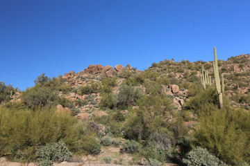 Poster - Arizona Desert