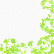 © Сашка Шаргаева - Leaves Falling Spring Flying Foliage Green Leaf