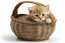 Kitten In Wicker Basket Isolated On White Generative AI