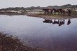 © Cavan Images - Horses on field by calm lake against clear sky