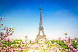 Fototapeta Boho - Eiffel Tower and Paris cityscape