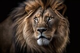 Fototapeta Koty - Lion headshot against a dark background. Generative AI