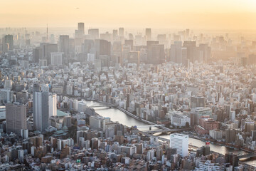 Sticker - Tokyo from above at sunset in Japan.