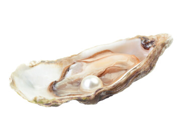 Wall Mural - Shell pearl isolated 