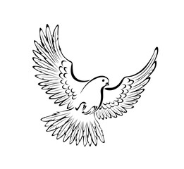 Wall Mural - Stylized Dove