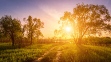 Scene Of Beautiful Sunset Or Sunrise At Early Summer Or Spring Field With Willow Trees And Grass.