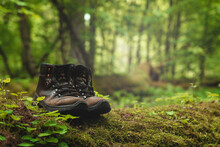 Pair Of Leather Brown Trekking Shoes On Blurred Background Of Green Forest. Close Up Of Hiking Boots On Wood Log Covered With Moss. 