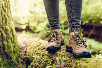 close up of hiker feet and hiking boots on wood log in forest. woman walking and wearing trekking sh