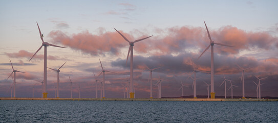 Wall Mural - Offshore wind farm during sunset