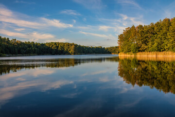 Wall Mural - Natural landscape of the lake, high definition, the movement of waves against the background of the autumn forest. The reflection of clouds on the ripples of water. Germany.