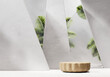 3D rendering wood platform podium with plant product presentation background