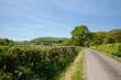 © chris - A peaceful summer landscape scene with a country lane leading into the distance