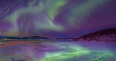Wall Mural - panoramic view at fjord with coast of the norwegian sea in the background snowy mountains arctic cir