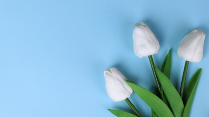 Poster - plastic flower for decoration, flowers on the background