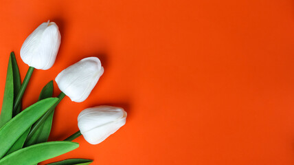 Poster - plastic flower for decoration, flowers on the background