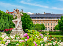 Palais Royal Gardens In Center Of Paris, France