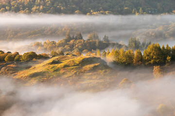 Wall Mural - autumn morning mist in the valley with golden sunlight seen from loughrigg fell in the lake district