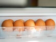 Closeup of eggs in refrigerator.