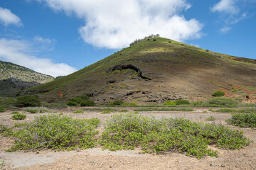 Wall Mural - Ascension island, south east crater, Ascension island.